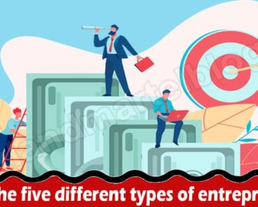 What are the five different types of entrepreneurship?