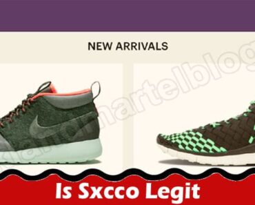 Is Sxcco Legit {July 2022} The Complete Reviews Here!