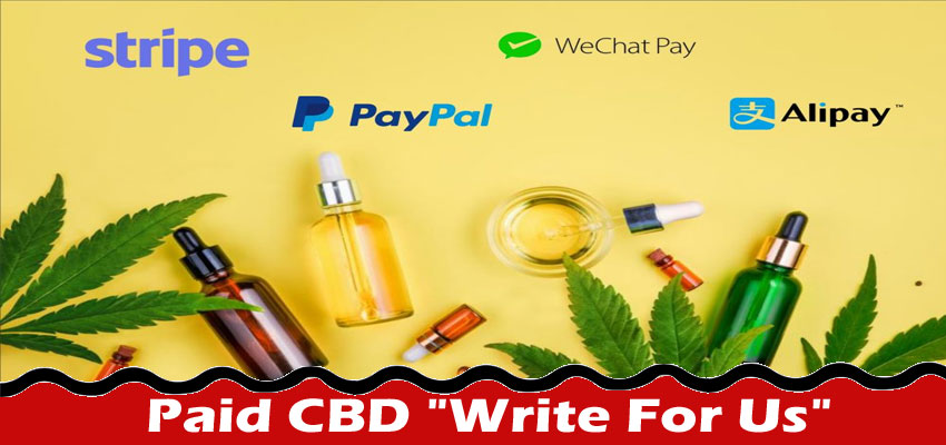 “Paid CBD “”Write For Us””” – Follow The Instructions!