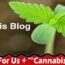 “Write For Us + “”Cannabis Blog””” – Read Instructions!