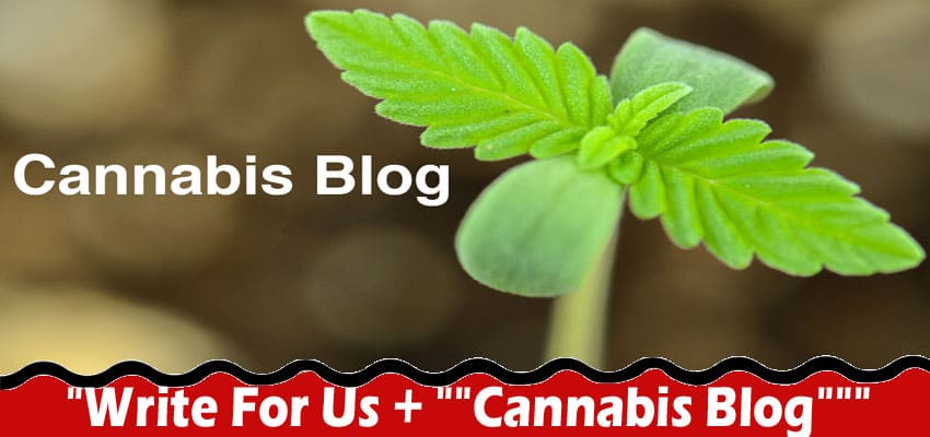 “Write For Us + “”Cannabis Blog””” – Read Instructions!