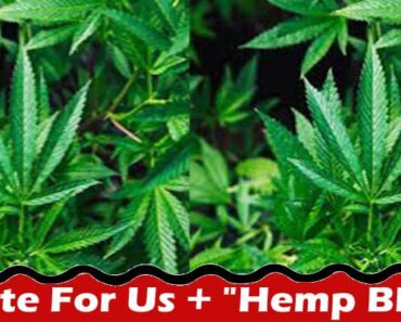 Write For Us + “Hemp Blog” – Read To Know Instructions!