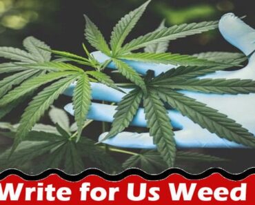 Write for Us Weed – Read Complete Comprehensive Guide!