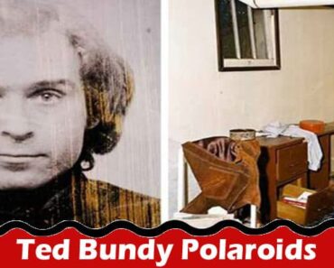 Latest News Ted Bundy Polaroids