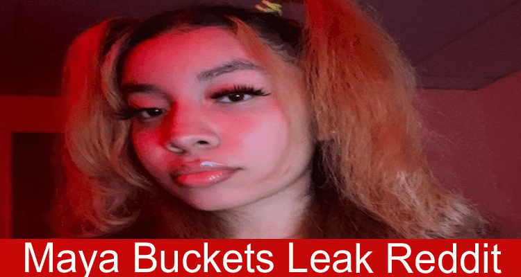 Maya Buckets Leak Reddit: What Exposed Made Through Video? Know Her Age! Find Recent Updates On Twitter!