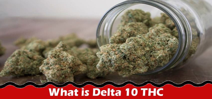 What is Delta 10 THC and Why do I Need to Know About it