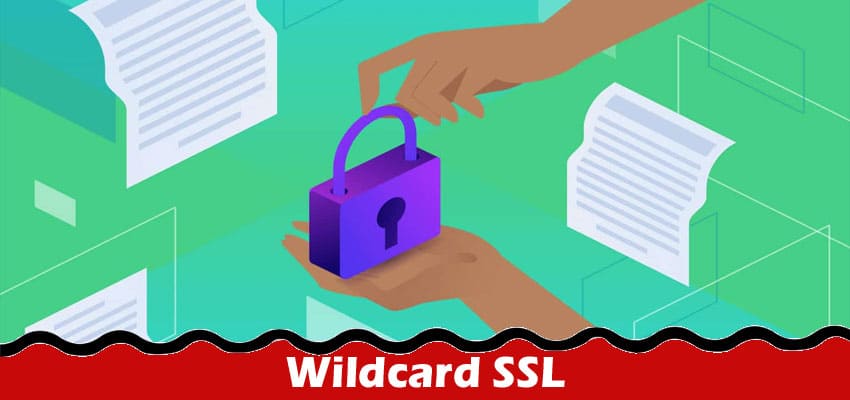 What Is a Wildcard SSL?