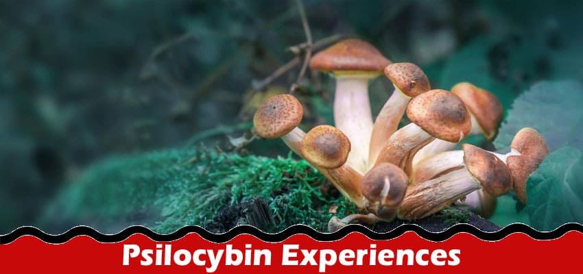 How to Make the Most of Your Psilocybin Experiences