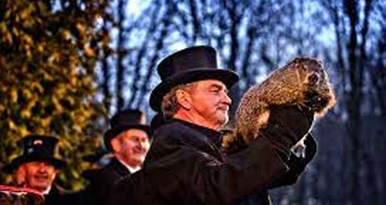 Groundhog Day 2023 Video: Is The Shared Clip Present Correct History Predictions? What Is There For Students? Know Facts Now!