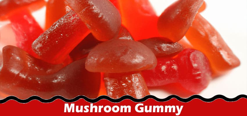 Top 5 Best Mushroom Gummy in 2023