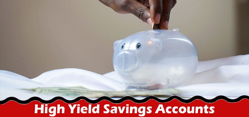 Top 5 Secrets to Amplifying Your Wealth with High Yield Savings Accounts
