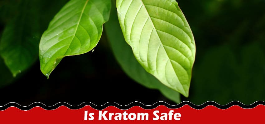 Complete Information About Is Kratom Safe A - Comprehensive Guide to Responsible Use