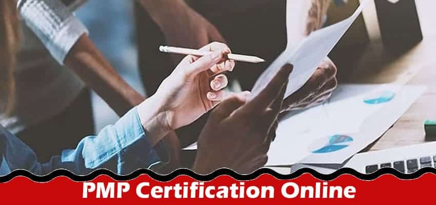 How To Proceed With Project Execution With PMP Certification Online?