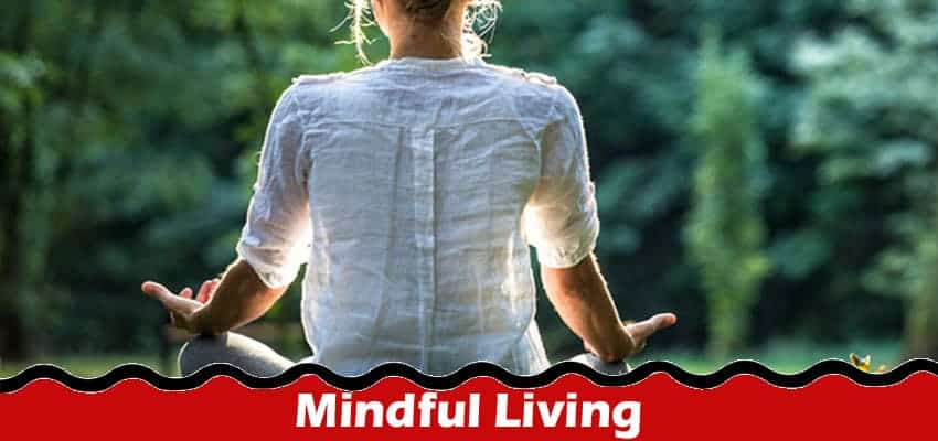 Mindful Living Balancing Wellness and Modern Life