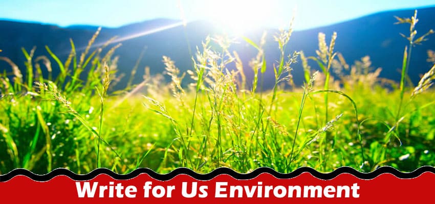 All Information About Write for Us Environment
