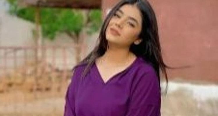 Latest News Areeka Haq Purple Dress Video Leaked