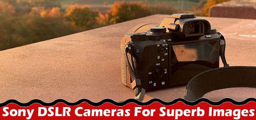Top 6 Overlooked Benefits Of Sony DSLR Cameras For Superb Images